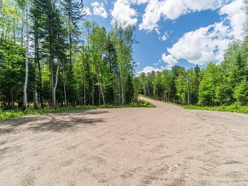 ExtÃ©rieur - 260 Ch. Girouard, Rivière-Rouge, QC - Outdoor With View