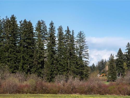 7997 Island Hwy North, Black Creek, BC - Outdoor With View