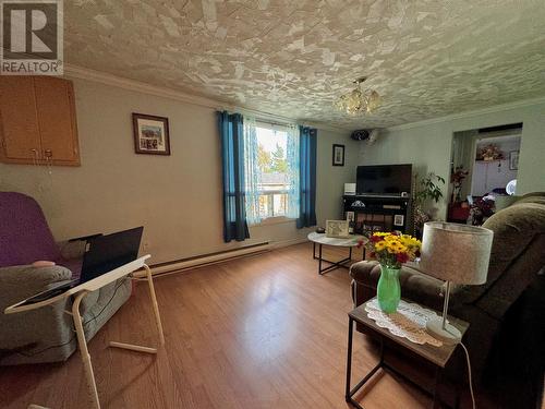 7 Vardys Avenue, Clarenville, NL - Indoor Photo Showing Living Room