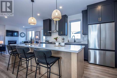 167 Castle Bridge Drive, St. John'S, NL - Indoor Photo Showing Kitchen With Upgraded Kitchen