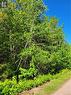 Lot 3 Hayesey Lane, Mill Cove, NB 