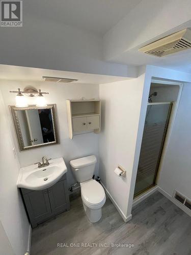 44 Banting Cres, London, ON - Indoor Photo Showing Bathroom
