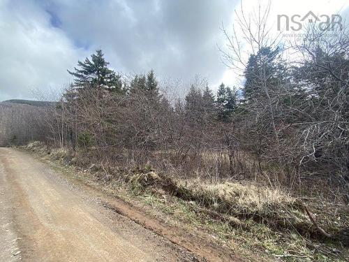 Chemin Du Lac Road, Grand Étang, NS 