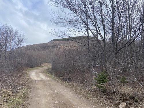 Chemin Du Lac Road, Grand Étang, NS 