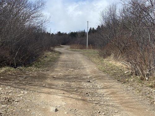 Chemin Du Lac Road, Grand Étang, NS 