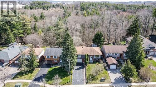 181 Little Ave, Barrie, ON - Outdoor With View