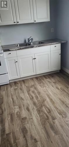 30 No 6 Range Extension, Bell Island, NL - Indoor Photo Showing Kitchen With Double Sink