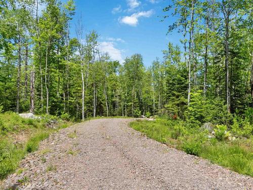 Lot Butler Road, Murphy Lake, NS 