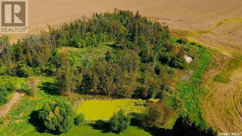 Yagelniski Acreage Rm Of Clayton No. 333, Hyas, SK - Outdoor With View