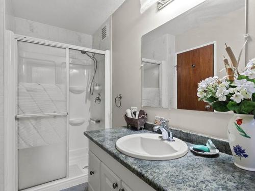 462 Maple Place, Chase, BC - Indoor Photo Showing Bathroom