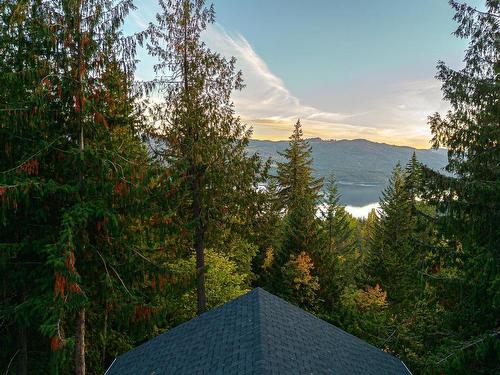 7418 Crowfoot Dr., North Shuswap, BC - Outdoor With View
