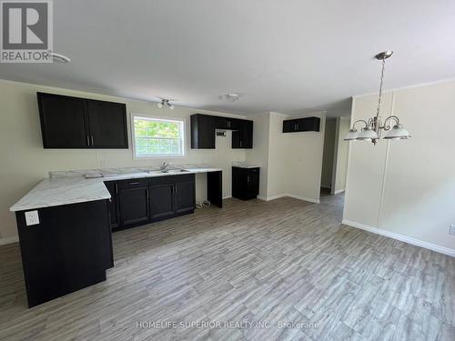 16 Belmont Street, Havelock-Belmont-Methuen, ON - Indoor Photo Showing Kitchen