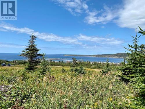 17 Paynes Path, Rocky Harbour, NL 