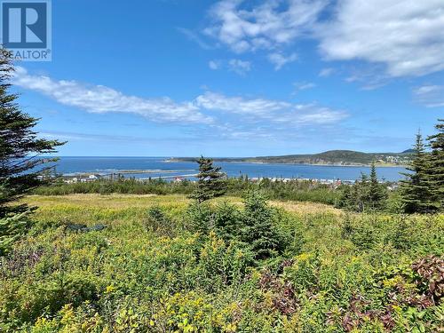 17 Paynes Path, Rocky Harbour, NL 