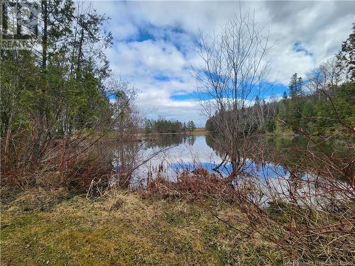 661 Ch De L'Eglise, Saint-André, NB - Outdoor With View