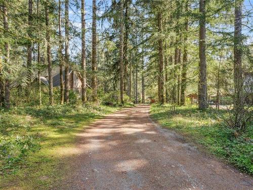 5151 Alexander Rd, Duncan, BC - Outdoor With View