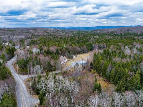 Overall view - 719 Ch. Du Lac-Paquet E., Rivière-Rouge, QC - Outdoor With View