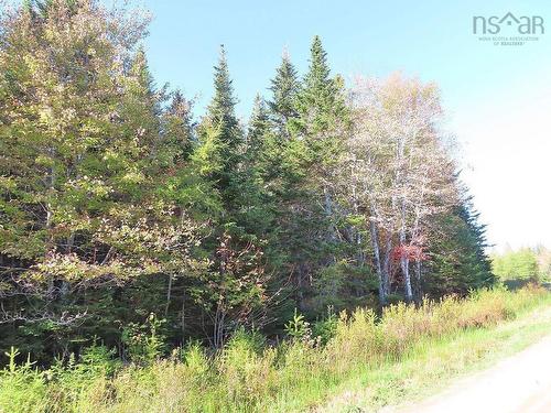 Lot 49 Lucas Lane Road, Cleveland, NS 