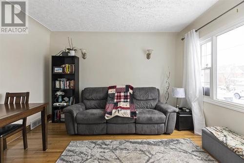 486 Bush St, Sault Ste. Marie, ON - Indoor Photo Showing Living Room