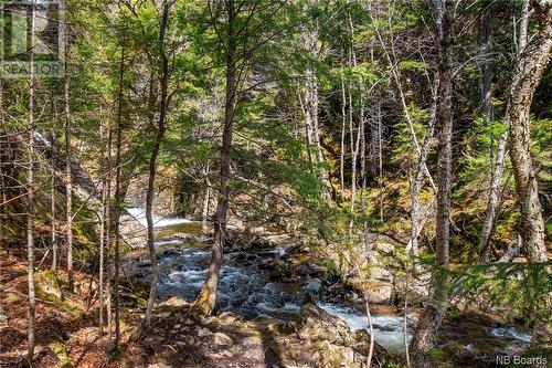 Lot Moss Glen Shore Road, Clifton Royal, NB 