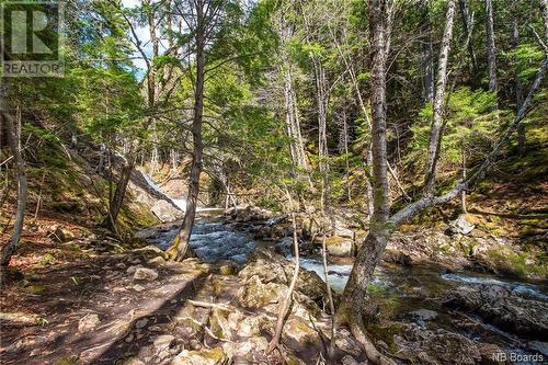 Lot Moss Glen Shore Road, Clifton Royal, NB 