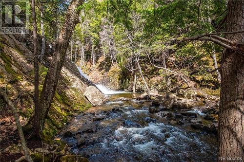 Lot Moss Glen Shore Road, Clifton Royal, NB 