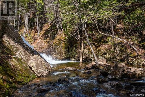 Lot Moss Glen Shore Road, Clifton Royal, NB 