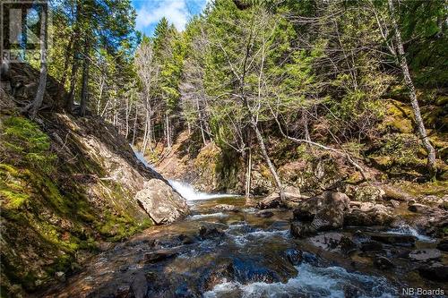 Lot Moss Glen Shore Road, Clifton Royal, NB 