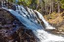 Lot Moss Glen Shore Road, Clifton Royal, NB 