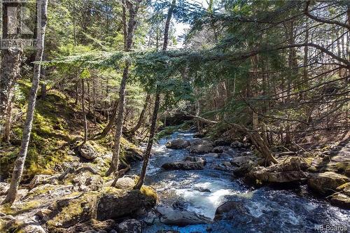 Lot Moss Glen Shore Road, Clifton Royal, NB 