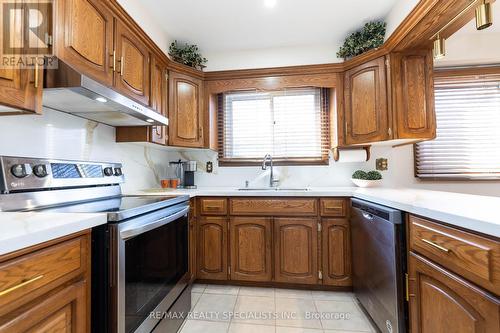 73 Thomson Drive, Hamilton, ON - Indoor Photo Showing Kitchen With Double Sink
