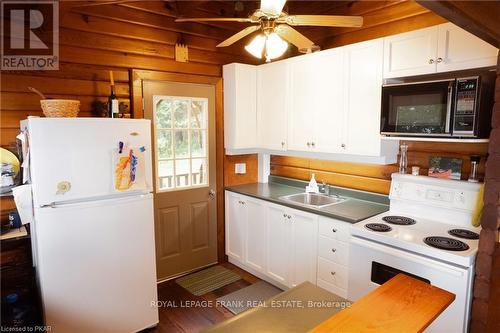 2540 Birds Hill Lane, Smith-Ennismore-Lakefield, ON - Indoor Photo Showing Kitchen With Double Sink