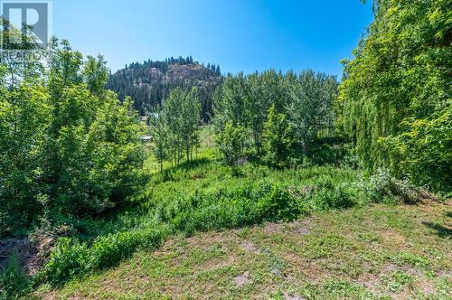 18740 Old Richter Pass Road, Osoyoos, BC 