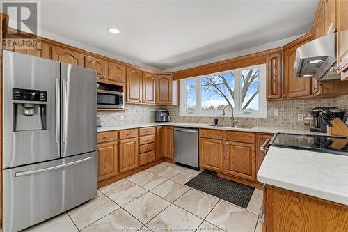 278 County Rd 27 East, Kingsville, ON - Indoor Photo Showing Kitchen With Double Sink