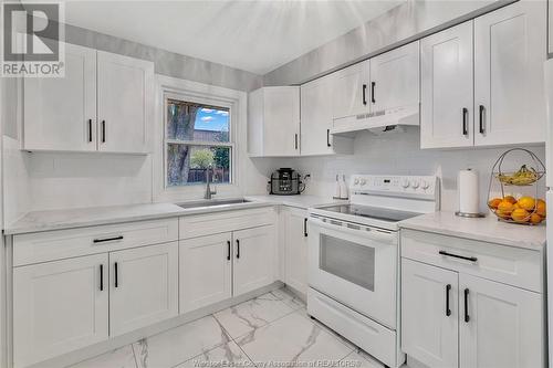 3217 Woodlawn Avenue, Windsor, ON - Indoor Photo Showing Kitchen