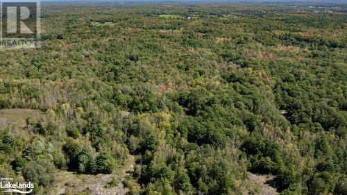 Aerial View of 1750 Laughlin Falls Rd, Vacant Land - 1750 Laughlin Falls Road, Coldwater, ON 