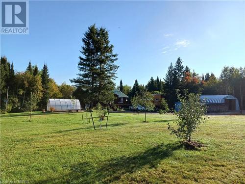 fruit trees and overview - 230 Burke Drive, Mattawa, ON - Outdoor