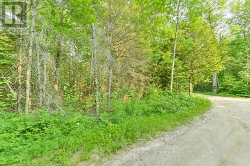 1971 Gull Lake Estates Lane, North Frontenac, ON 