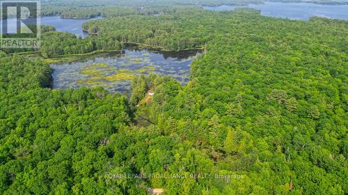 1971 Gull Lake Estates Lane, North Frontenac, ON 