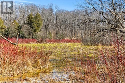 Pt Lt 6 9Th Line, Grey Highlands, ON 