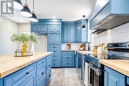 242 Chatham Street North, Blenheim, ON - Indoor Photo Showing Kitchen With Upgraded Kitchen