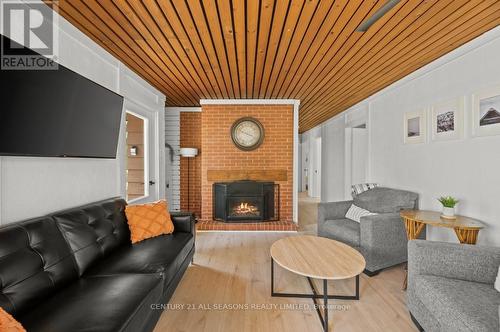 31 Skinkle Lane, South Algonquin, ON - Indoor Photo Showing Living Room With Fireplace