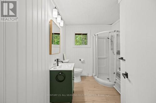 31 Skinkle Lane, South Algonquin, ON - Indoor Photo Showing Bathroom