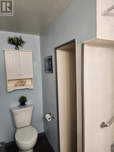395 Third Ave, Sault Ste. Marie, ON - Indoor Photo Showing Bathroom