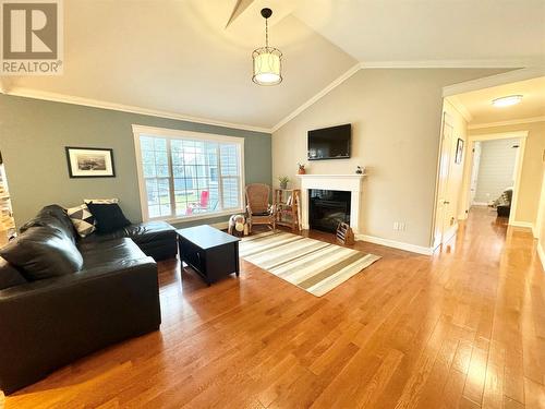 46 Forester Street, Gander, NL - Indoor Photo Showing Living Room With Fireplace