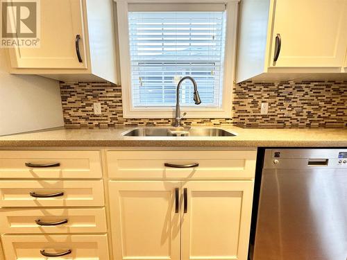46 Forester Street, Gander, NL - Indoor Photo Showing Kitchen With Double Sink