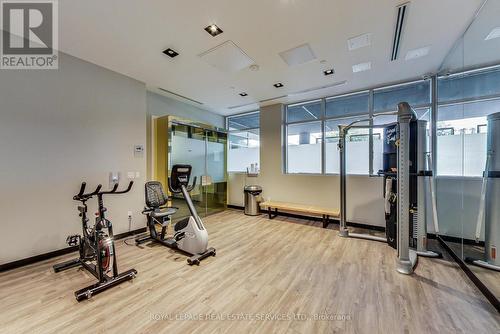 #208 -385 Osler St, Toronto, ON - Indoor Photo Showing Gym Room