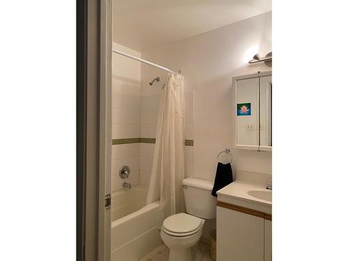 441 Richards Street   W, Nelson, BC - Indoor Photo Showing Bathroom