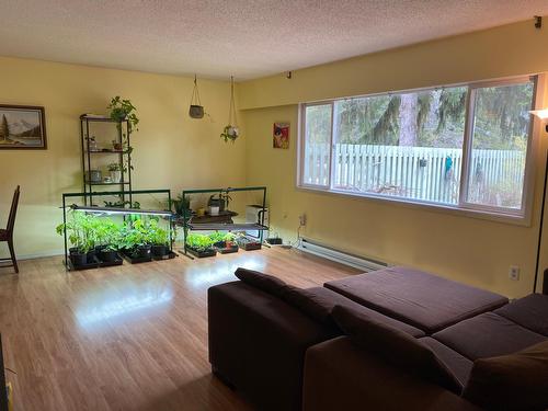 441 Richards Street   W, Nelson, BC - Indoor Photo Showing Living Room