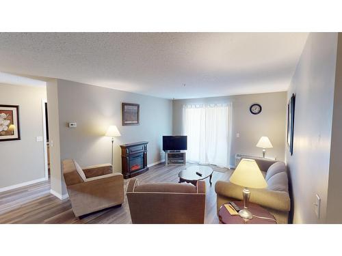209 - 4769 Forsters Landing Road, Radium Hot Springs, BC - Indoor Photo Showing Living Room